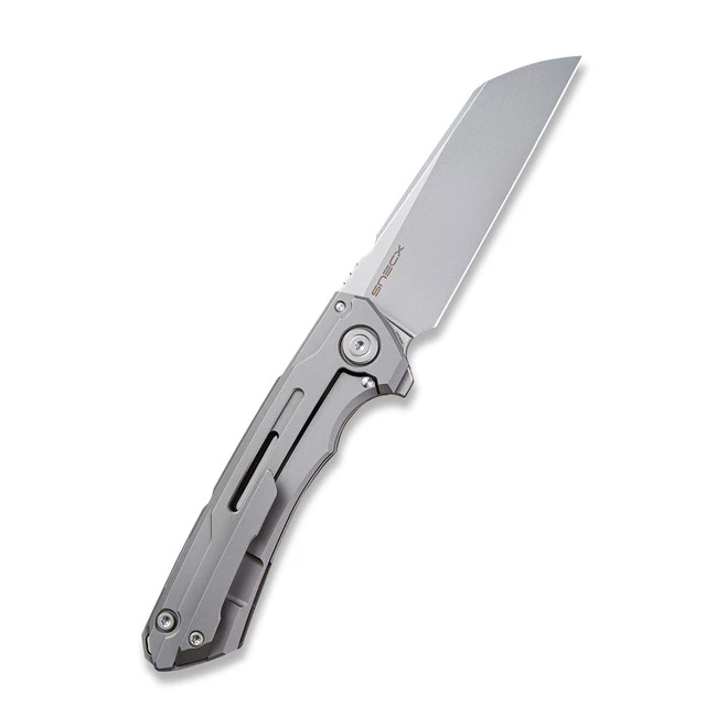 WE Knife Mini Buster Frame Lock Knife Gray Ti Handle Plain 20CV Bead Blast Blade 2003A 4 WE Knife Mini Buster Frame Lock Knife Gray Ti Handle Plain 20CV Bead Blast Blade 2003A - Image 2
