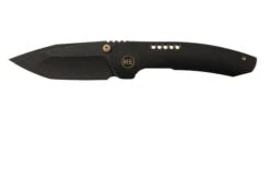 WE Knife Trogon WE22002B-2 Black Titanium, Black Stonewashed CPM 20CV Pocket Knife