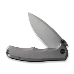 Kaviso Exclusives SKU - WEKNIFE Praxis Flipper Knife WE18026D-1 15 Kaviso Exclusives SKU - WEKNIFE Praxis Flipper Knife WE18026D-1 -We Knife kaviso exclusives sku weknife praxis flipper knife we18026d 1 417682