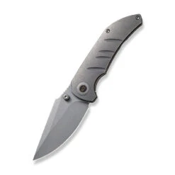 WEKNIFE Riff-Raff Thumb Stud Knife Titanium Handle (3.12" CPM 20CV Blade) WE22020B-3 -We Knife weknife riff raff thumb stud knife gray titanium handle 312 gray stonewashed cpm 20cv blade we22020b 3 169880